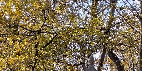 Christingle and Nativity