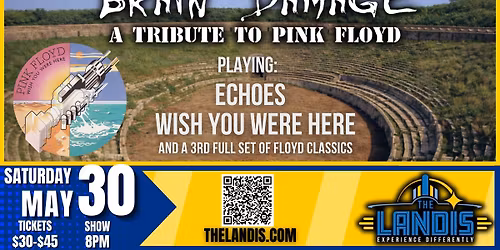 Brain Damage: Performing Pink Floyd's "Wish You Were Here" + MORE!