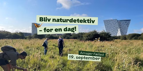 Kom til mini-bioblitz p\u00e5 Amager F\u00e6lled