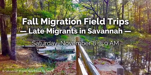 Fall Migration Field Trip: Late Migrants at Savannah-Ogeechee Canal