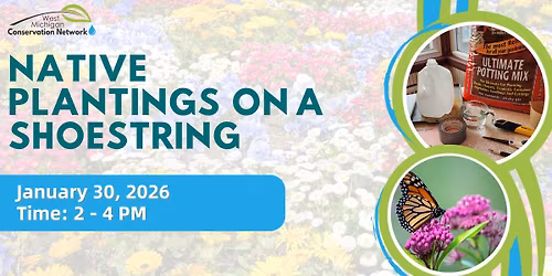 Native Plantings on a Shoestring Budget