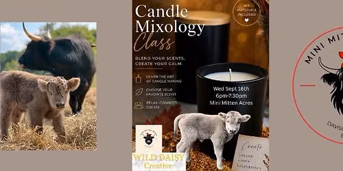 Candle Mixology & Highland cow cuddles