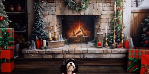 Christmas Mini Sessions