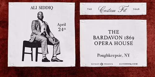 Ali Siddiq: The Custom Fit Tour