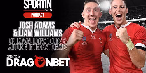 Autumn Internationals - Wales vs Japan at Principality Stadium - Cardiff