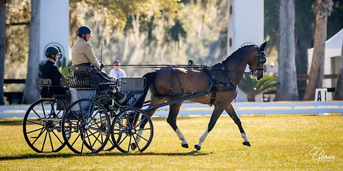 Live Oak International 2026