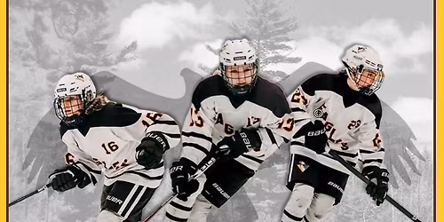 AVHS Girls vs Farmington