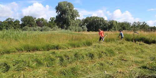 Zeisen in de Buylaers