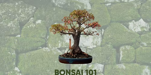 Bonsai 101 Workshop