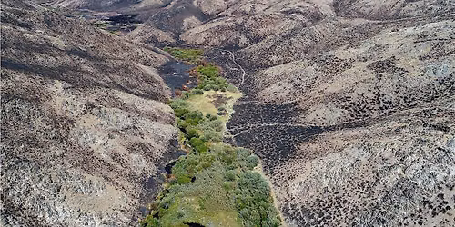 Homeschool Day: Wildfire in Idaho 12-1pm