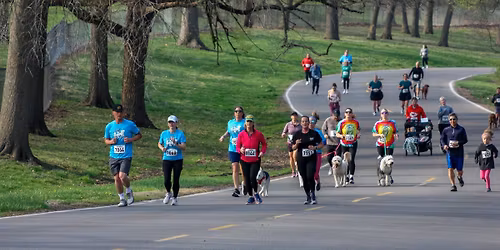 12th Annual Run\/Walk for the Paws 5K