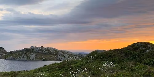 Refleksl\u00f8yle i Museumsparken