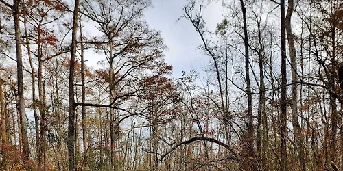 \ud83e\uddedAdventures on the Northwest River