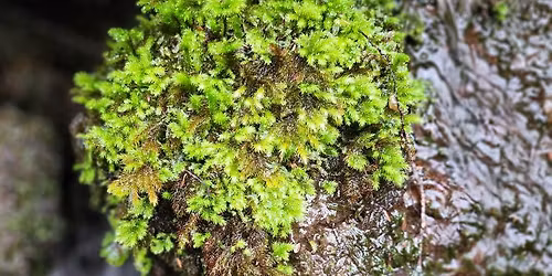 Wax and Wine Workshop