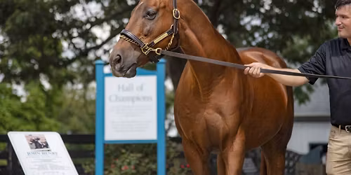Funny Cide Statue Dedication