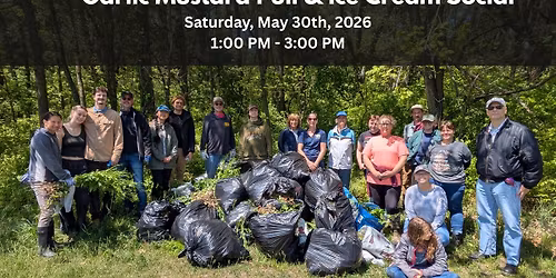 Garlic Mustard Pull & Ice Cream Social