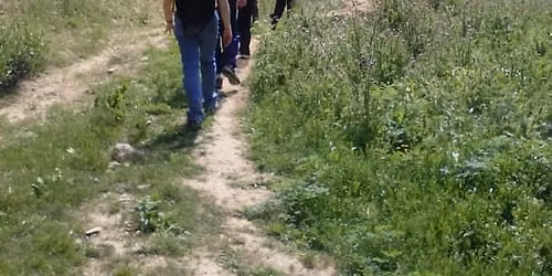 Domingos de Patrimonio: La Senda de los Elefantes