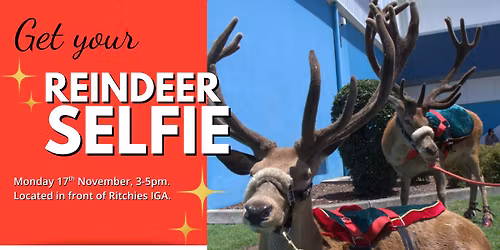 Get your Reindeer Selfie!