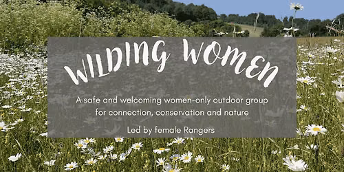 Wilding Women 6 at Funges Meadow
