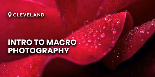 Intro to Macro Photography | Cleveland, OH