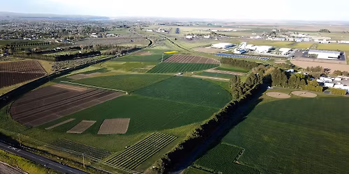 Hermiston Wheat Field Day