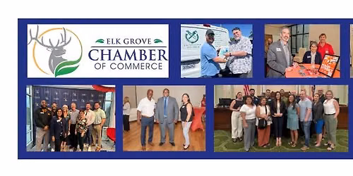 Multi- Chamber Networking Business Mixer