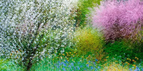 The Art of Seeing: A Weekend of Creative Photography with Charles Needle