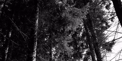 Early Morning Nature and Wildlife Photography Walk