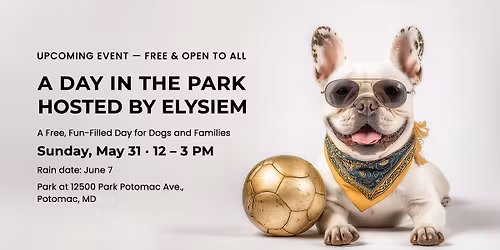 PETS ARE FAMILY TOO! A DAY IN THE PARK