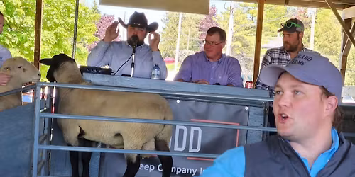 5th Annual Production Sale with Guests