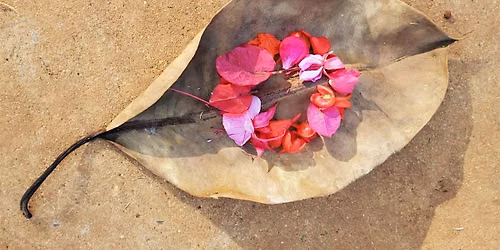 Honouring Diasporic Grief: Water