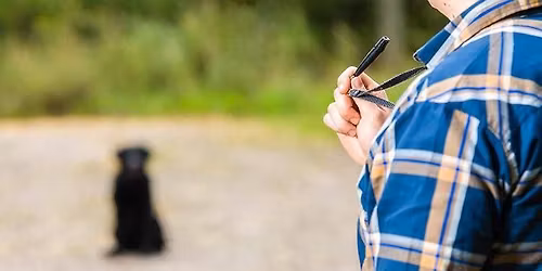 Tr\u00f3jmiasto: Warsztaty z wysy\u0142ania kierunkowego