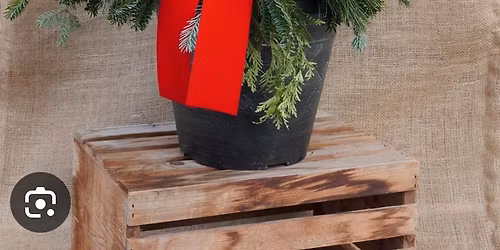 Holiday Porch Pot Class
