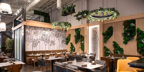 Azara Wellness Sphere: Debunking Myths about Stress and Weight