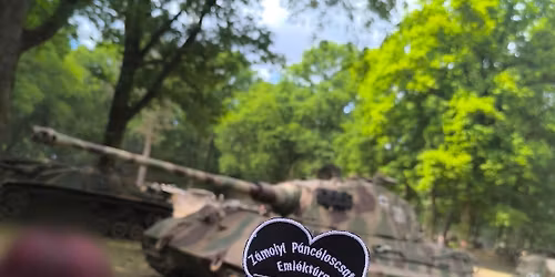 V. Z\u00e1molyi P\u00e1nc\u00e9loscsata Eml\u00e9kt\u00fara