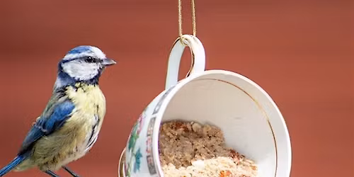 Upcycled Tea Cup Bird Feeder Make & Take