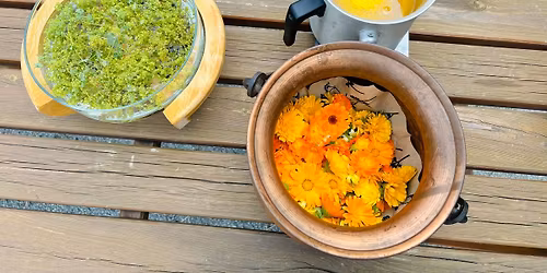 Pflanzliche \u00d6lausz\u00fcge f\u00fcr die Hausapotheke herstellen