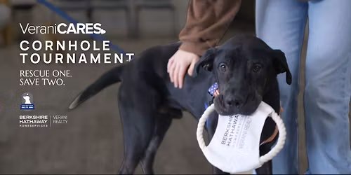 Verani Cornhole Tournament