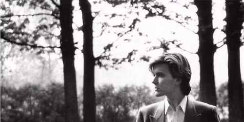 DAVID SYLVIAN \u2018Brilliant Trees\u2019: Albumlytt m\/Rob Young