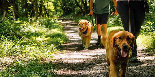 Tails on Trails: BARK Ranger Hike