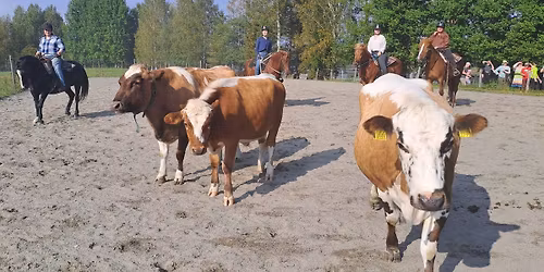 Westernhenkinen heppaleiri nuorille & aikuisille