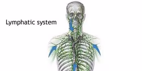 "What's Lymph gotta do with it"? 4 CE's