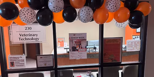 Clinical Simulation Lab (BRFA)