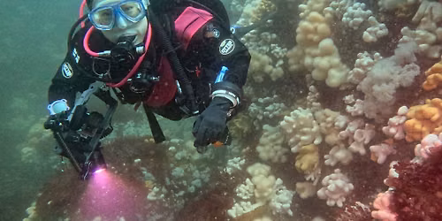 Eyemouth dive weekend