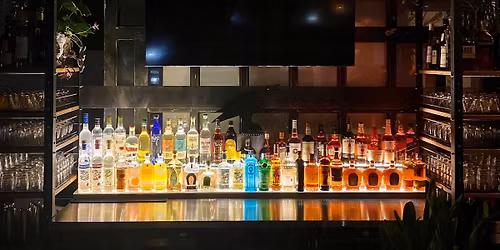 4th Annual Holly Dolly Party- a benefit for Burrito Brigade