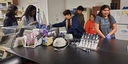 Molecular Biotechnology Bootcamp for Ages 12-17!