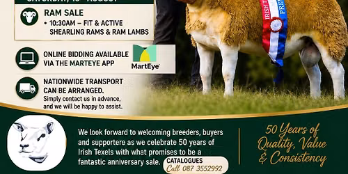 Irish Texel Premier Sale Blessington Mart 