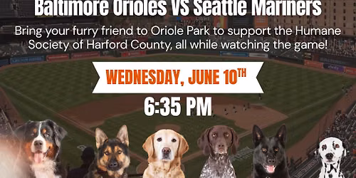 Bark at Oriole Park