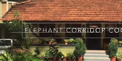 Barefoot Marathon in Pollibetta