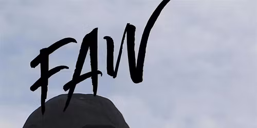 Copy of FAW fitness session